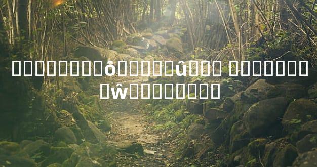 ��������ô֪����û��Ǯ ��������ŵ�ϰ�ߺͻ���